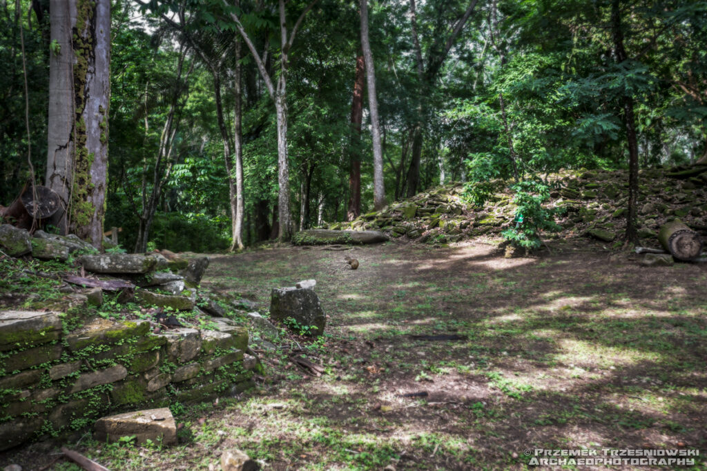 nim li punit belize maya ruins ruiny majow toledo aguti animal zwierzę nature przyroda